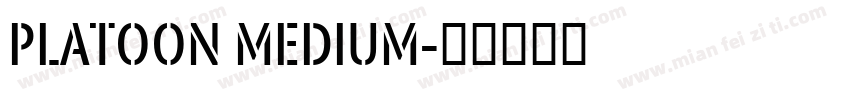 Platoon Medium字体转换